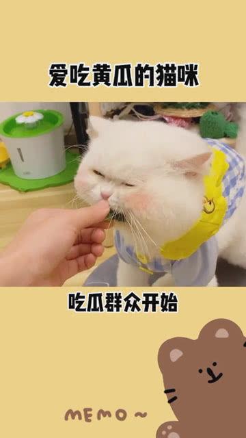 吃瓜群众在线吃瓜网,揭秘娱乐圈幕后故事