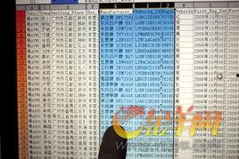 车主信息资料,深度解析车主信息资料